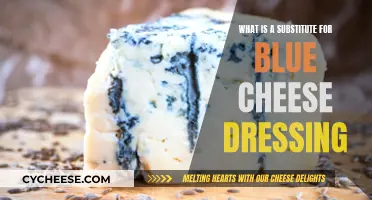 Blue Cheese Dressing Alternatives: Delicious Substitute Options