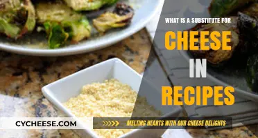 Cheese-Free Cooking: Discover Tasty Alternatives for Your Favorite Recipes