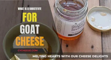 Goat Cheese Alternatives: Similar Cheeses to Try