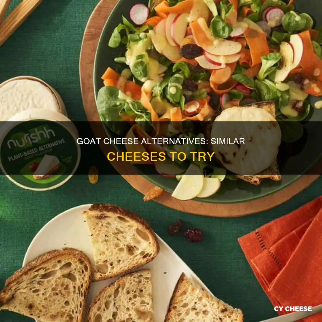 what is a substitute for goat cheese