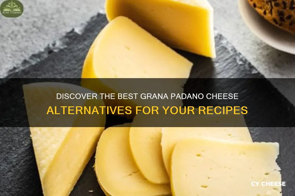 what is a substitute for gran padano cheese