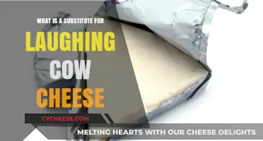 Creamy Alternatives: Discover Substitutes for The Laughing Cow Cheese