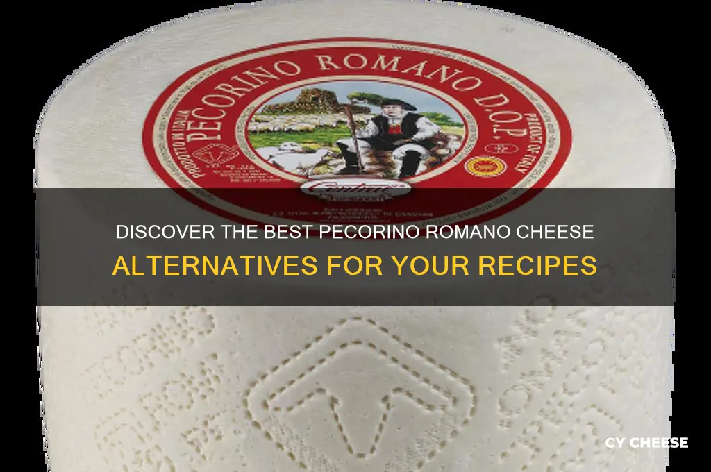 what is a substitute for pecorino romano cheese