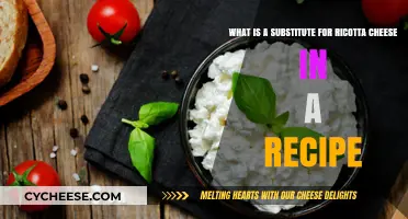 Ricotta Cheese Alternatives: Best Substitutes for Your Favorite Recipes