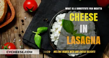 Perfect Lasagna Alternatives: Best Ricotta Cheese Substitutes for Your Recipe