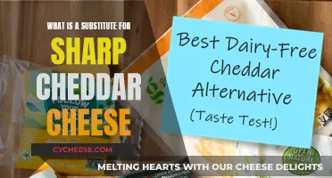 Cheese Alternatives: Discover the Best Cheddar Substitutes