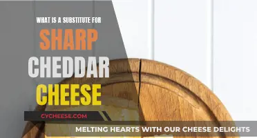 Sharp Cheddar Substitutes: Alternative Cheeses to Try