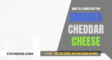 Smoked Cheddar Alternatives: Discovering the Best Cheesy Substitutes