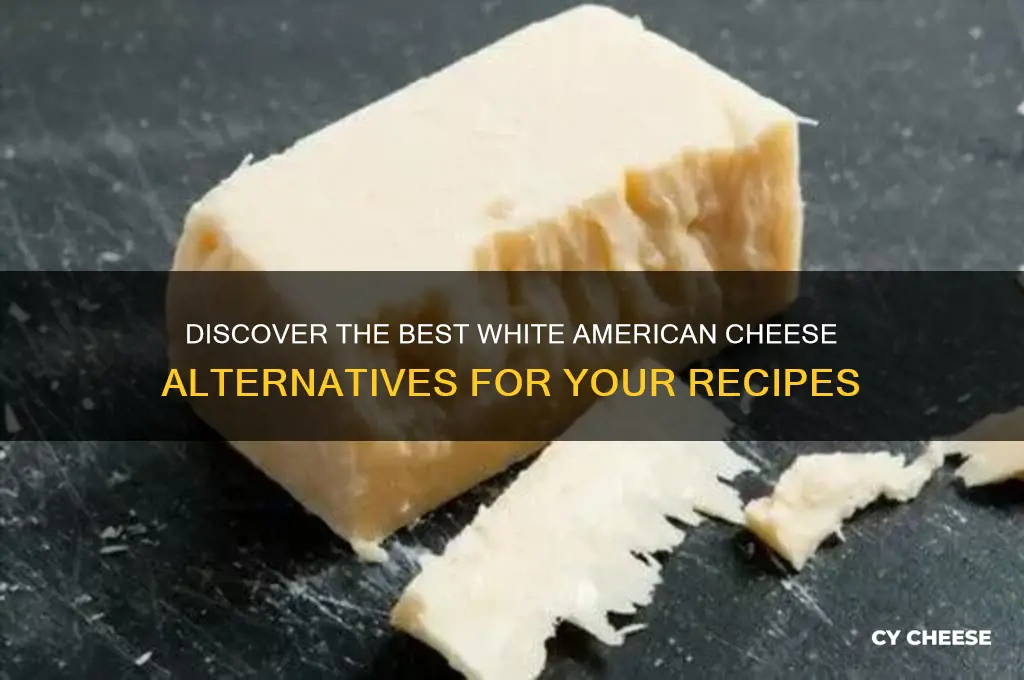 what is a substitute for white american cheese