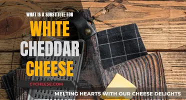 Exploring the Best White Cheddar Cheese Alternatives