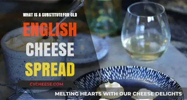 Discover the Perfect Substitute for Old English Cheese Spread