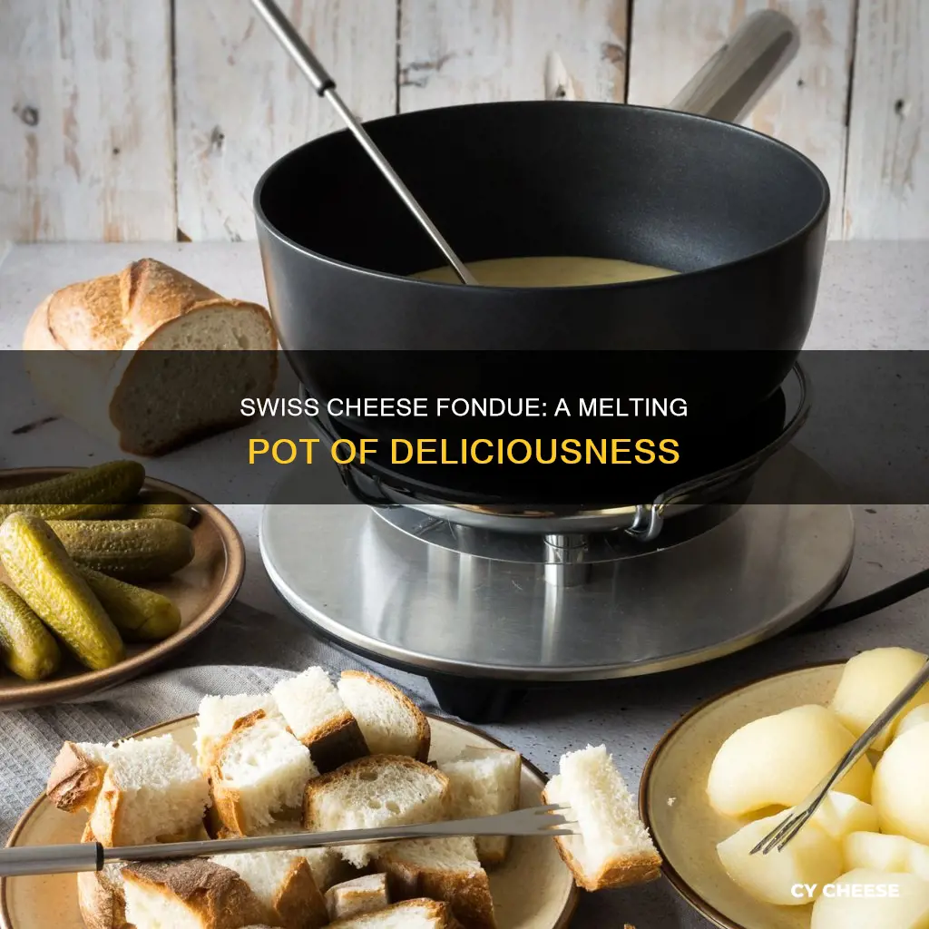 what is a swiss melted cheese dish