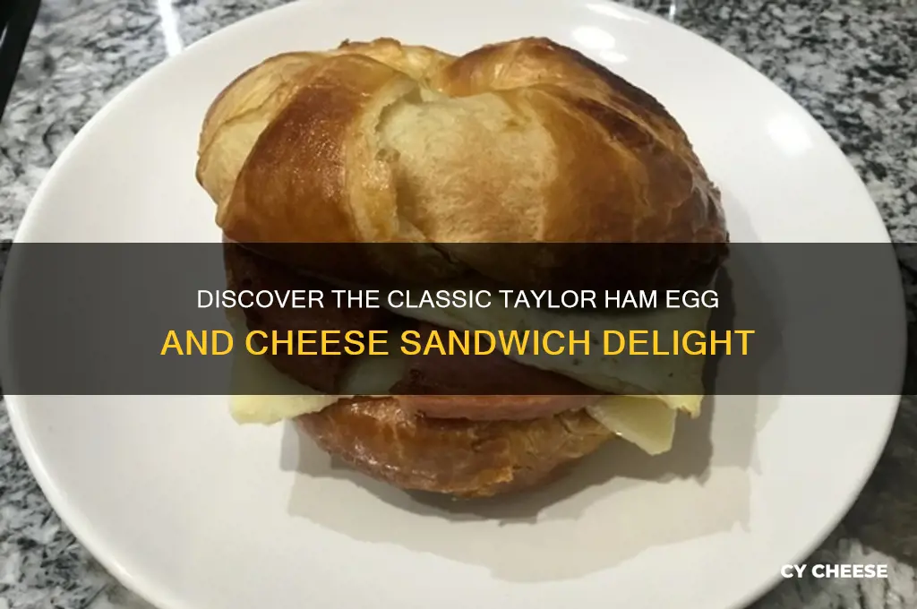 what is a taylor ham egg and cheese