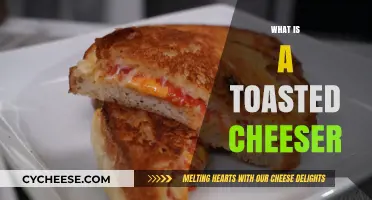 Discover the Ultimate Comfort Food: What is a Toasted Cheeser?