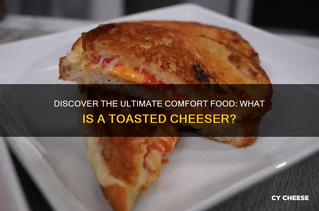 what is a toasted cheeser