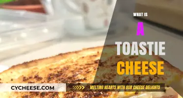 Discover the Melty Magic: What is a Toastie Cheese?