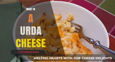 Discover the Creamy Delight: What is Urda Cheese?