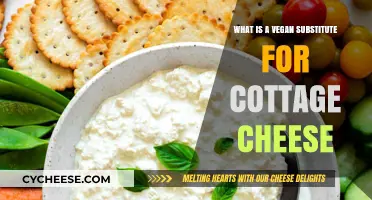 Discover Creamy Vegan Cottage Cheese Alternatives for Plant-Based Diets