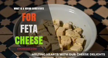 Vegan Feta Cheese: Delicious Dairy-Free Substitutes