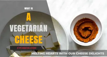 Understanding Vegetarian Cheese: Ingredients, Types, and Benefits Explained