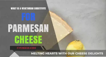 Veggie Parmesan Cheese: The Best Substitutes