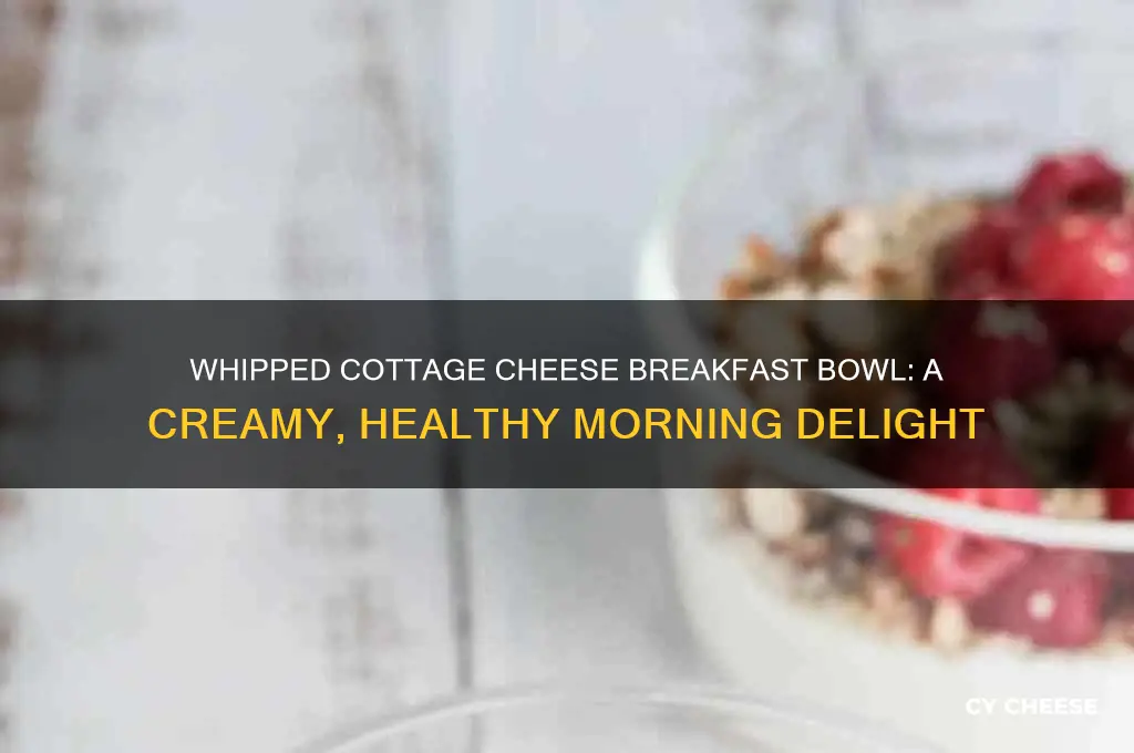 what is a whipped cottage cheese breakfast bowl