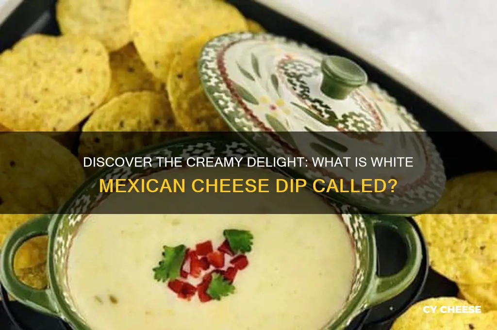 what is a white mexican cheese dip called