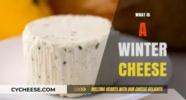 Discover the Rich, Cozy Flavors of Winter Cheese Varieties