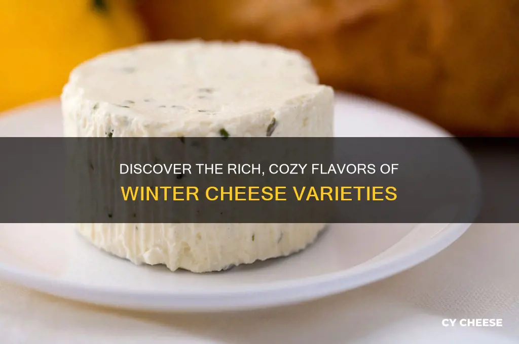 what is a winter cheese