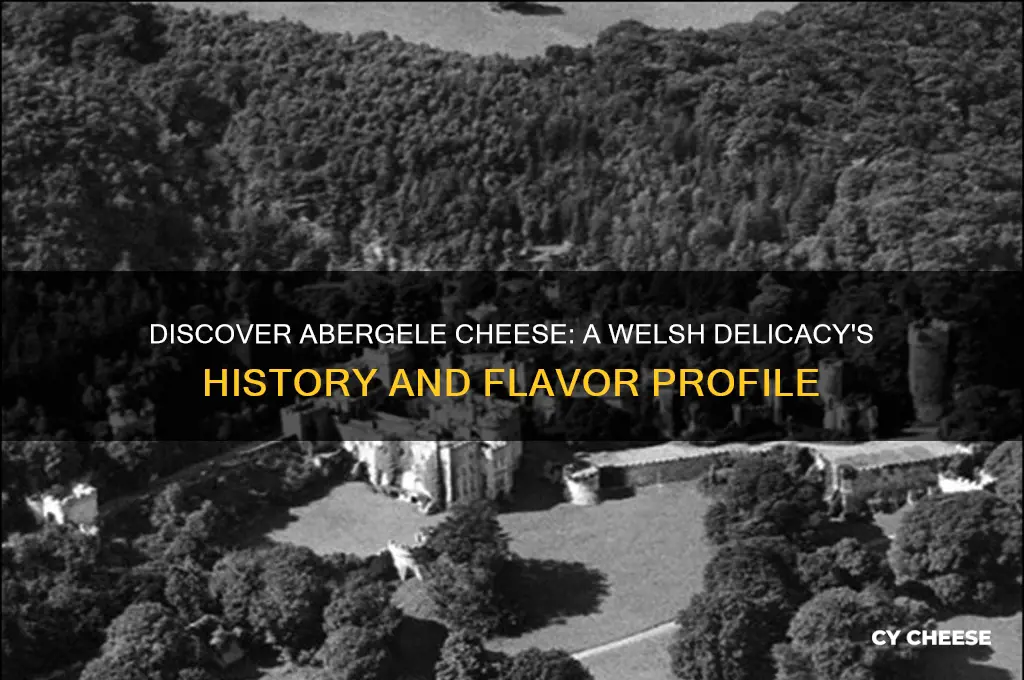 what is abergele cheese