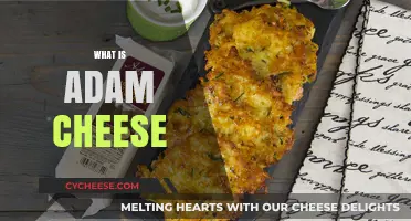 Discovering Adam Cheese: Origins, Flavor, and Culinary Uses Explained