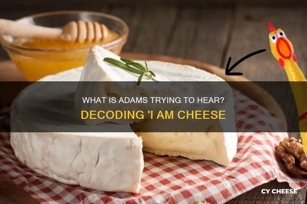 what is adams trying to hear i am cheese