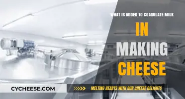 Coagulating Milk for Cheese: Key Ingredients and Their Role Explained