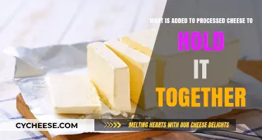 The Secret Ingredients in Processed Cheese: What Binds It Together?