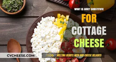 Healthy Cottage Cheese Alternatives: Nutritious Substitutes for Your Diet