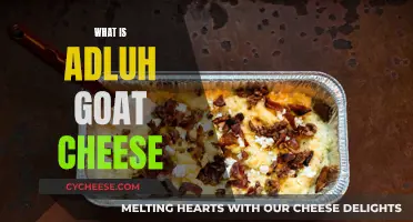 Unveiling the Secrets of Adluh Goat Cheese: A Tasty Adventure