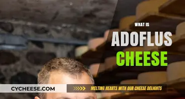 Discover the Unique Flavor and Origin of Adoflus Cheese