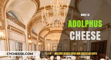 Discover Adolphus Cheese: A Unique and Flavorful Culinary Delight