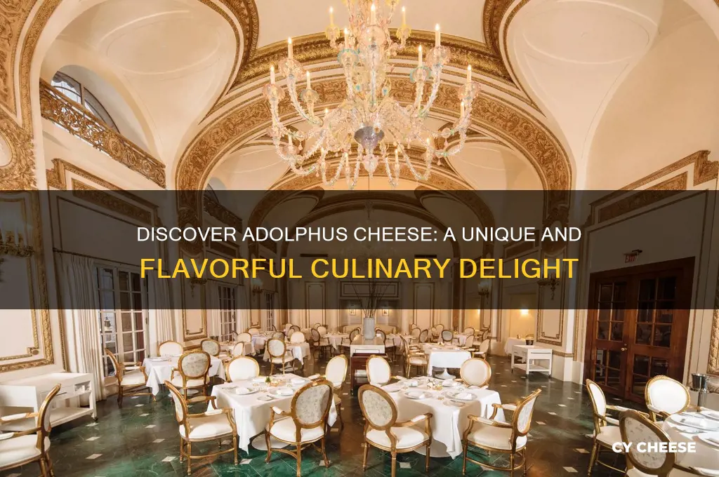 what is adolphus cheese