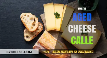 Exploring the Rich World of Aged Cheese: Names and Varieties