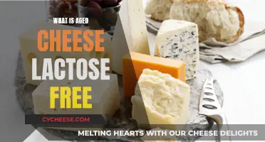 Aged Cheese: Lactose-Free Superfood