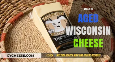 Exploring the Rich Flavor and History of Aged Wisconsin Cheese