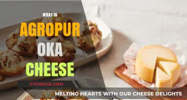 Discover the Rich Flavor and History of Agropur Oka Cheese