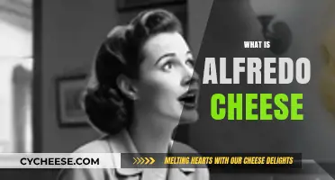 Exploring Alfredo Cheese: Origins, Ingredients, and Culinary Uses