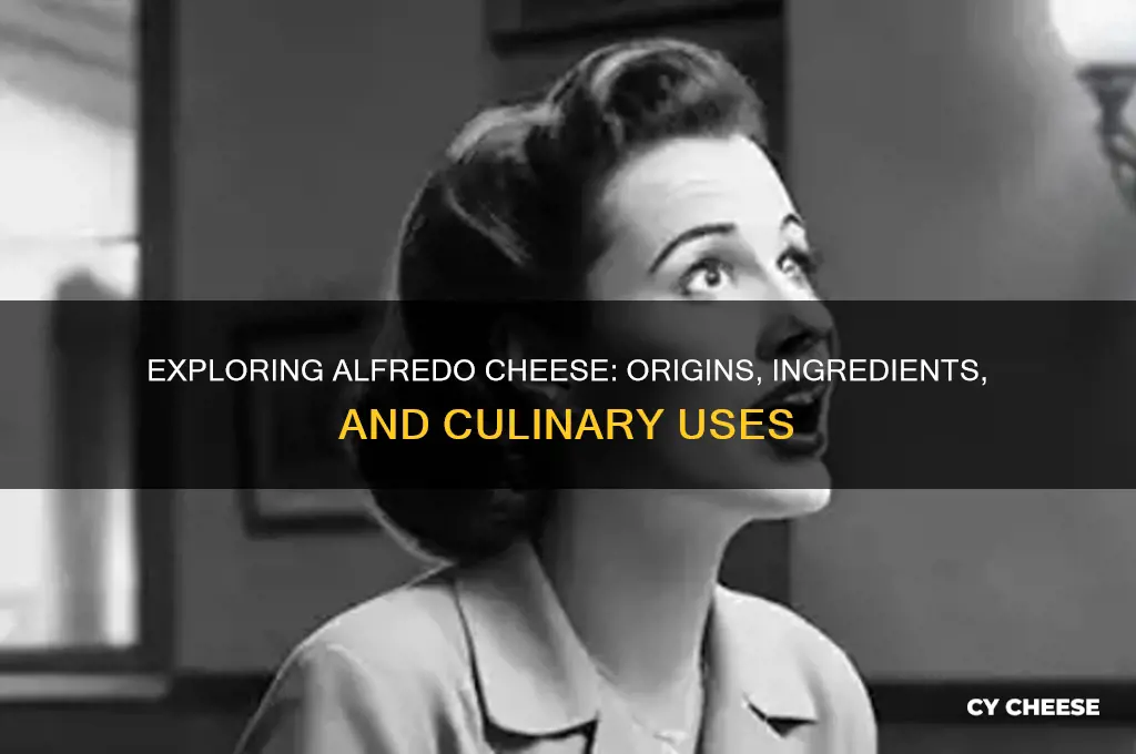 what is alfredo cheese