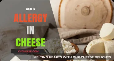 Understanding Cheese Allergies: Causes, Symptoms, and Safe Alternatives