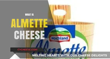 Discover Almette Cheese: A Creamy, Versatile Spread Explained