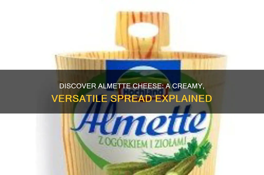 what is almette cheese