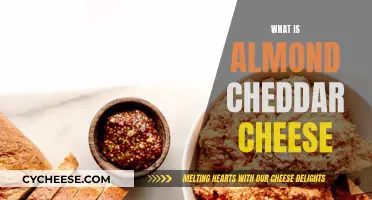 Almond Cheddar: A Unique Fusion of Flavors and Texture