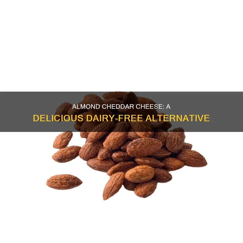 what is almond cheddar cheese